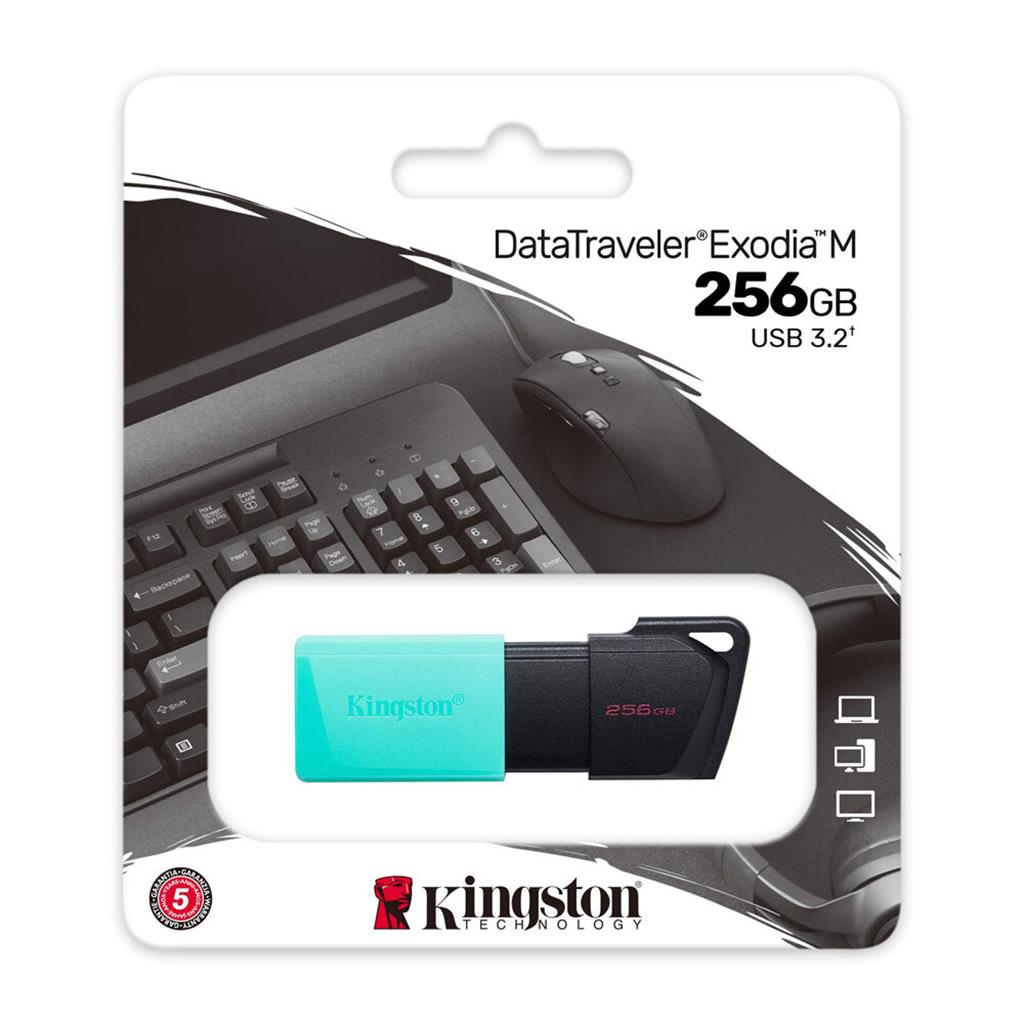 Pen Drive Kingston  DTXM  | 3.2 | 256GB